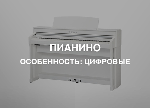Особенность: Цифровые
