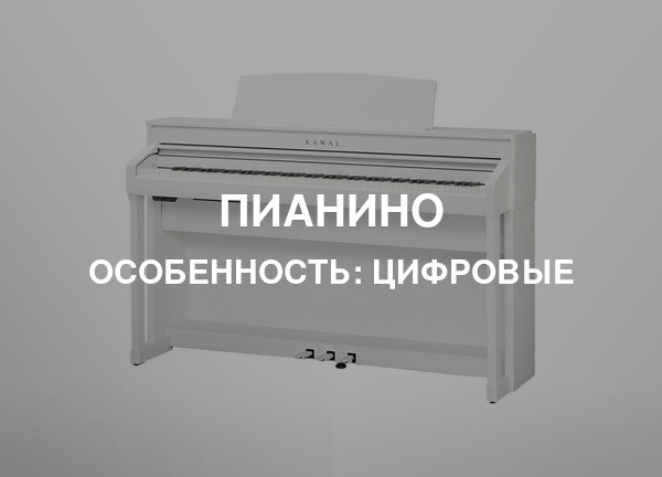 Особенность: Цифровые